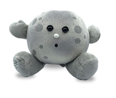 Buy Celestial Buddies Moon Buddy Learning Science Eclipse Astronomy Space Solar System ...