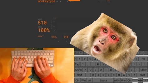 Typing Monkey at 500+ WPM #shorts - YouTube