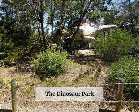 The Dinosaur Park - Austin's Fence Company - Repair & Replacement