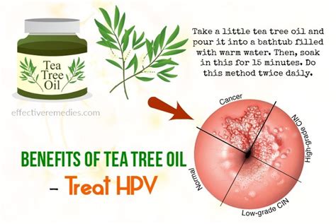 75 Health & Beauty Benefits Of Tea Tree Oil – Uses & Side Effects