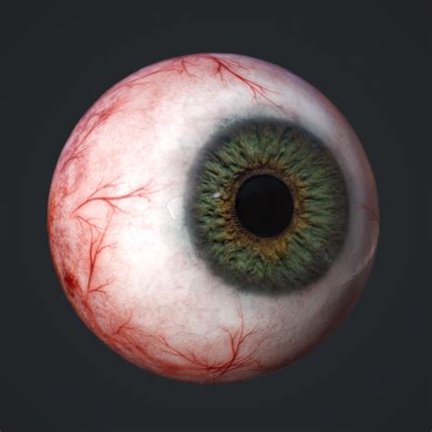 Eyeball 3D Models - Download 3D Eyeball Available formats: c4d, max ...