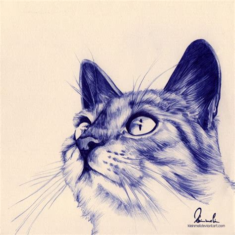 Ballpoint Pen Kitty by kleinmeli on DeviantArt | Ink pen drawings, Ink pen art, Ballpoint pen art