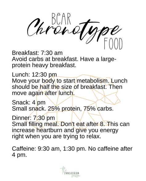 Bear Chronotype Eating Schedule in 2022 | Eating schedule, Metabolism ...