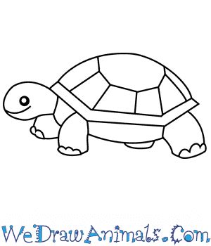 Easy Drawing Turtle – drawspaces.com