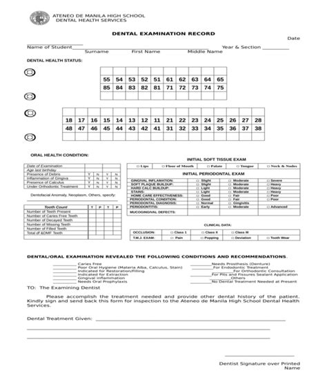 FREE 5+ Dental Examination Forms in PDF | MS Word