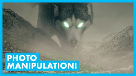 Create a WOLF + SHEEP photo manipulation (PHOTOSHOP TUTORIAL) - Dezign Ark