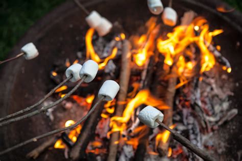 Roasting Marshmallows Over a Campfire | Things We Can Still Look ...