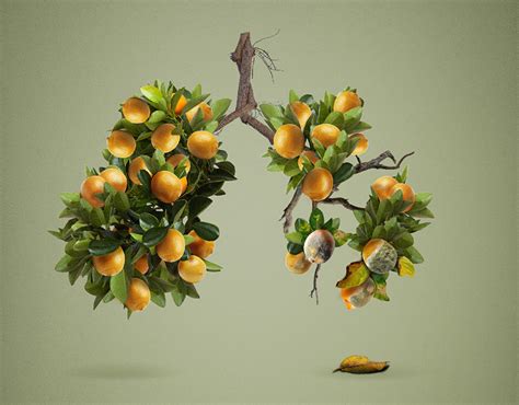 Lung Cancer Awareness poster Design on Behance