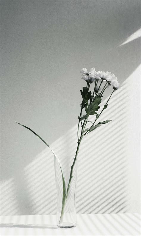 Download White is Aesthetically Pleasing | Wallpapers.com