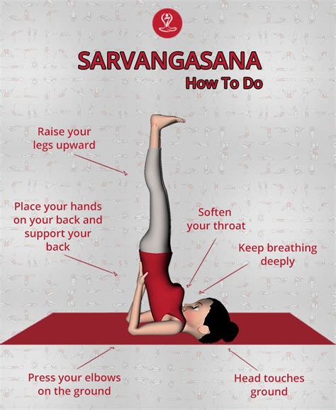 #Sarvangasana #Shoulder #Stand #Yoga is good for healthy functioning of ...