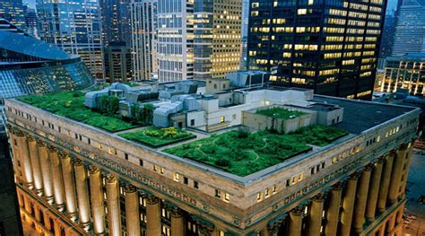 Designs Done Well: Chicago’s City Hall Rooftop Garden