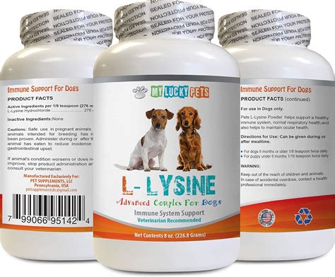 Best Vitamin Supplements For Dogs With Allergies - Your Best Life