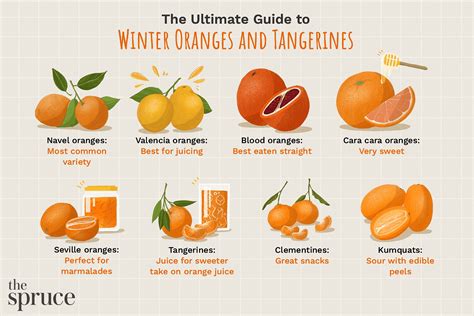 Tangerines and Winter Oranges