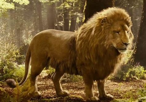 Aslan – Narnia Wiki