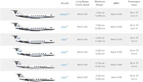 How Much Does a Private Jet to Puerto Rico Cost? - PlantHD