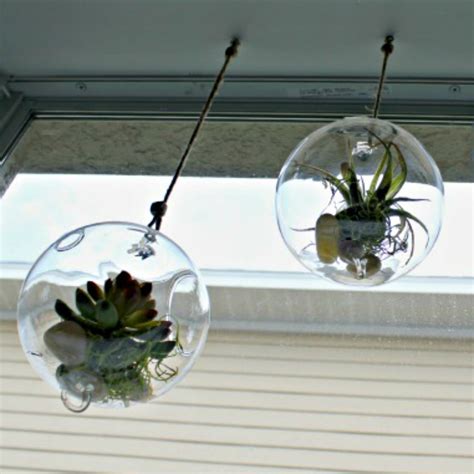 Fresh Idea Studio | Hanging terrarium, Diy hanging, Terrarium