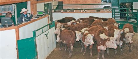 Pricing system for commodities, livestock sought | The Western Producer