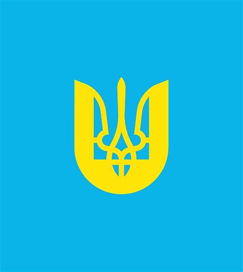 Ukraine National Team logo