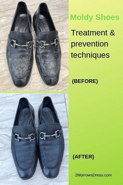 Moldy Shoes | How to treat and Prevent Mold on Leather Shoes, Bags, and ...