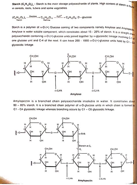 Starch And Glycogen Structure