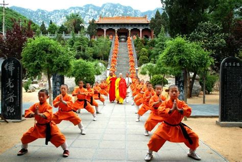 Legacy of Shaolin Fighting Monks - Milos.io