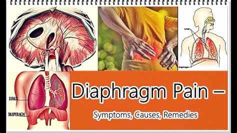 Diaphragm Pain – Symptoms, Causes, Remedies - YouTube