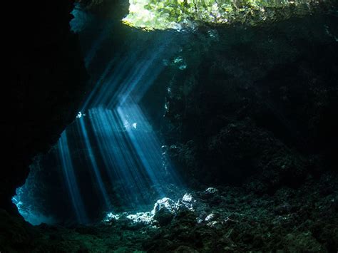 Solomon Islands snorkeling tour - Coral Triangle Adventures