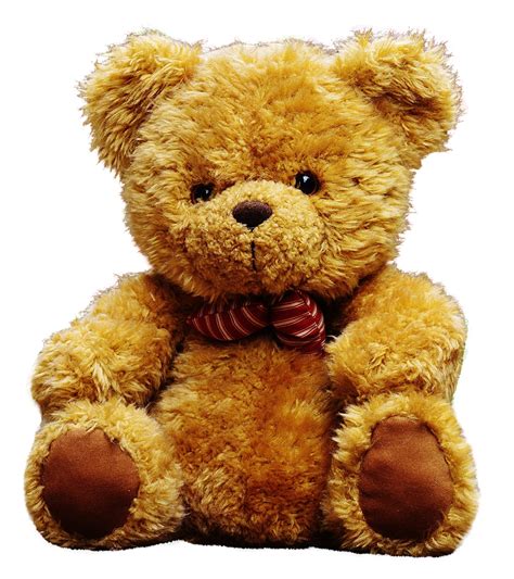 Teddy bear PNG