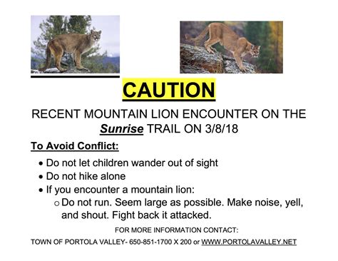 Run-in with mountain lion prompts Portola Valley to evaluate trail - Peninsula Press