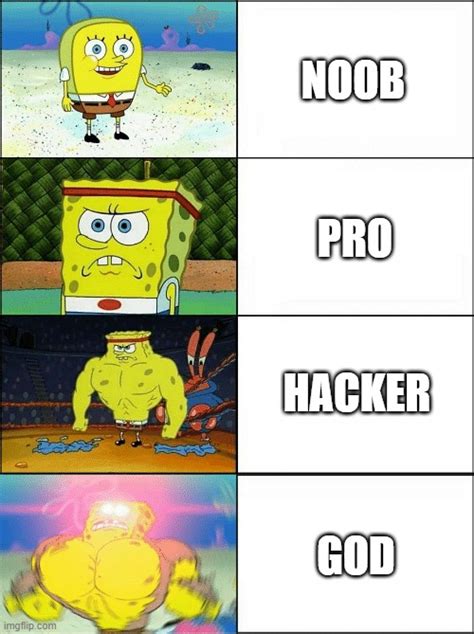 Minecraft noob vs pro vs hacker vs god - Imgflip