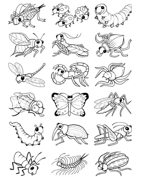 Coloring Page Insects - AmarailHubbard