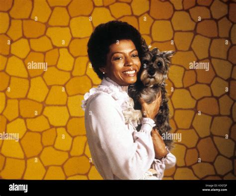 The wiz 1978 hi-res stock photography and images - Alamy