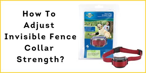 How To Adjust Invisible Fence Collar Strength? - Ultimate Guide