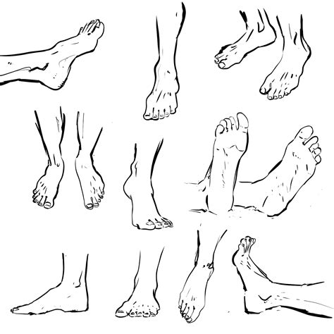 Foot Drawing