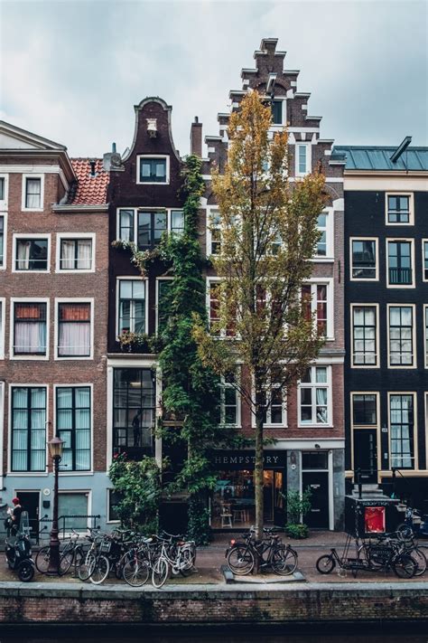 The 7 Dutch Culture Facts You Need To Know! • Rosy Melissa