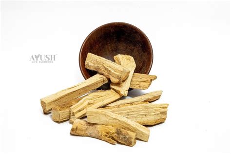 Kutaj - Kurchi - Kuda - Holarrhena Antidysenterica - Kutaj Bark at Rs ...