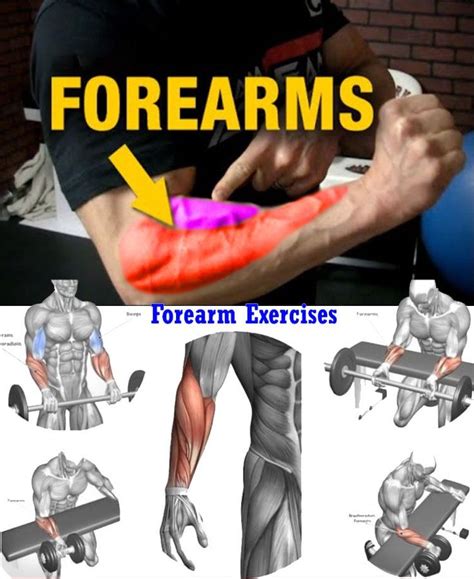 🔥HOT TOP 3 ARM EXERCISES | Forearm workout, Shoulder workout, Best forearm exercises