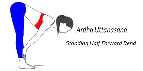 Ardha Uttanasana (Standing Half Forward Bend) Steps and Benefits - Sarvyoga | Yoga