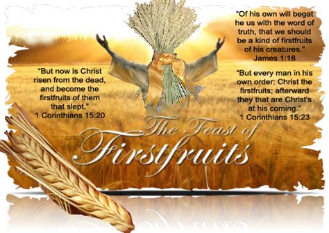 first fruits feast - Google Search | Bible teachings, Feasts of the lord, Day of pentecost