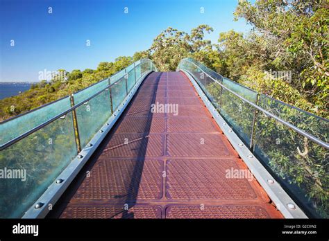 Lotterywest Federation Walkway in King's Park, Perth, Western Australia ...