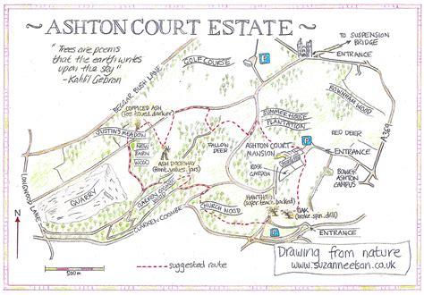 Ashton Court Estate map — Suzanne Elson