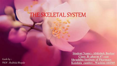 Skeletal System Overview | PPT