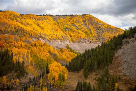 Best Drives, Hikes, and Rides for Durango’s Fall Colors | Visit Durango, CO | Official Tourism Site