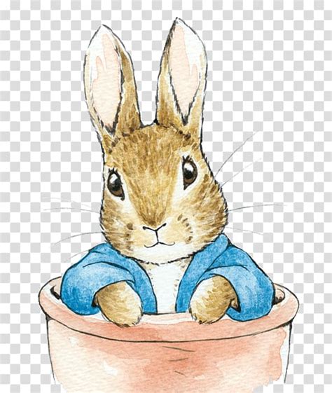 Download High Quality carrot clipart peter rabbit Transparent PNG Images - Art Prim clip arts 2019