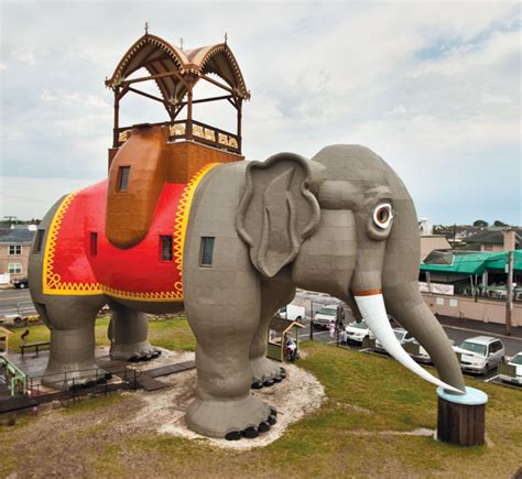 The History Of Lucy, The World's Greatest Elephant - Downbeach BUZZ