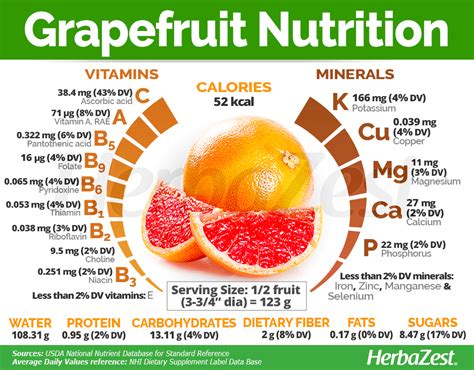 Grapefruit | HerbaZest