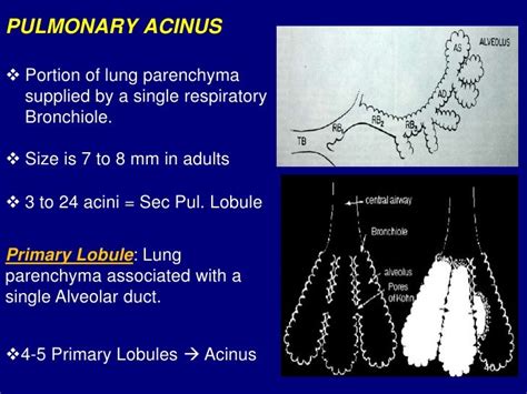 Technical aspect of hrct; normal lung anatomy & hrct findings of lung…