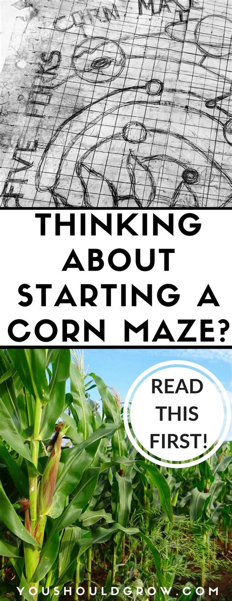 Family Farm Corn Maze: Tips for a Successful Start