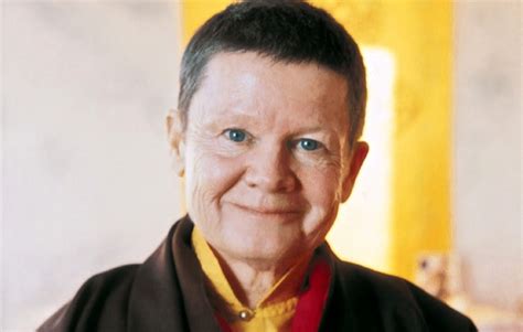 The Best of Pema Chödrön: Life, Quotes, and Books