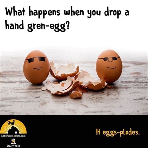 What happens when you drop a hand gren-egg? It eggs-plodes. Farm Jokes, Puns Jokes, Funny Jokes ...